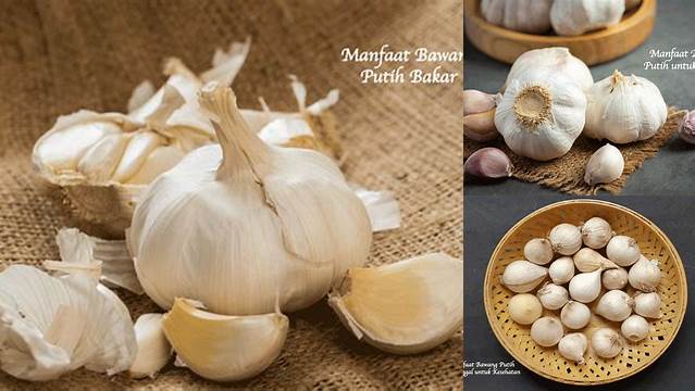 Manfaat Bawang Putih Sangrai Yang Jarang Diketahui