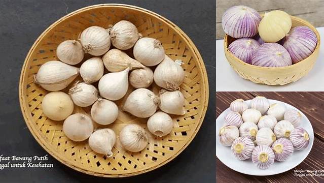8 Manfaat Bawang Putih Tunggal untuk Kesehatan Tubuh Anda