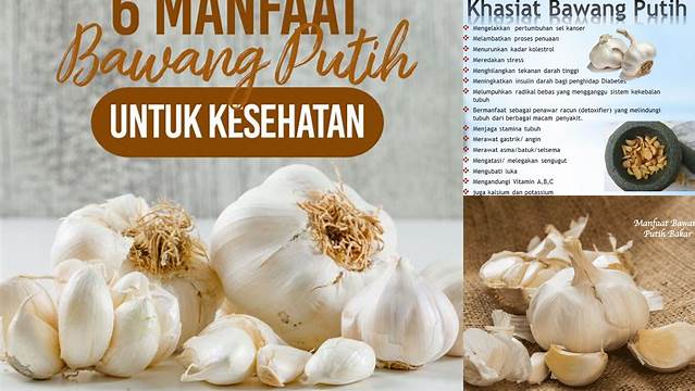 Temukan Khasiat Bawang Putih untuk Kesehatan yang Jarang Diketahui