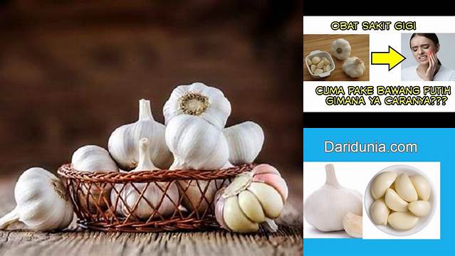 10 Manfaat manfaat bawang putih untuk sakit gigi Redakan Nyeri Secara Alami