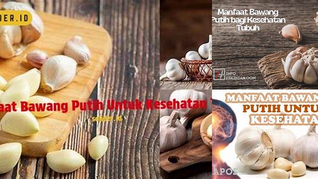 Temukan Manfaat Bawang Putih untuk Tubuh yang Jarang Diketahui