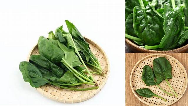 Temukan 5 Manfaat Bayam Jepang yang Jarang Diketahui!