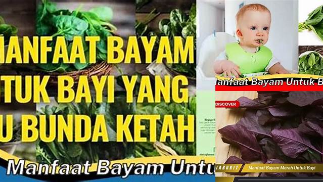 Temukan Manfaat Bayam untuk Bayi yang Jarang Diketahui