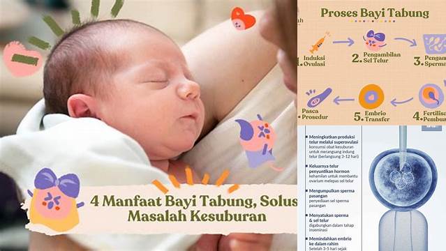 Temukan 10 Manfaat Bayi Tabung yang Jarang Diketahui untuk Pasangan Infertil