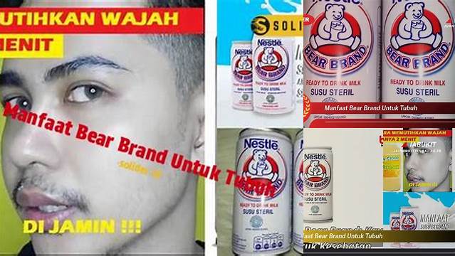 Temukan 10 Manfaat Susu Beruang untuk Tubuh yang Jarang Diketahui