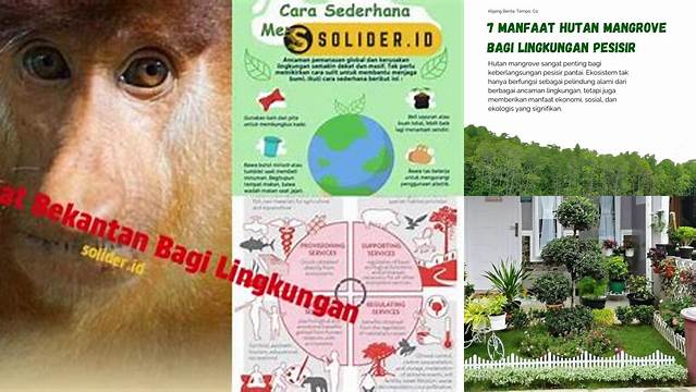 Temukan Beragam Manfaat Bekantan Bagi Lingkungan yang Jarang Diketahui