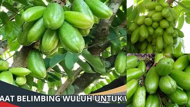 Temukan Khasiat Belimbing Wuluh untuk Wajah yang Jarang Diketahui