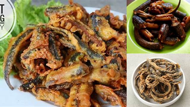 Temukan 10 Manfaat Belut Goreng yang Jarang Diketahui