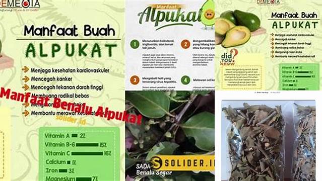 Temukan 11 Manfaat Benalu Alpukat yang Jarang Diketahui