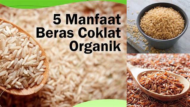 Manfaat Beras Coklat: Temukan Khasiat Tak Terduga