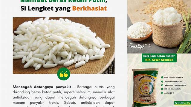 Temukan Manfaat Beras Ketan yang Jarang Diketahui