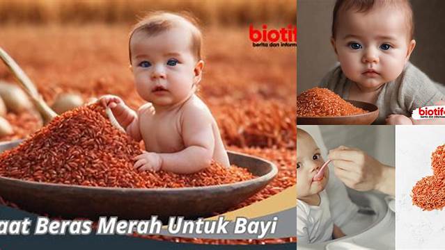 Temukan Manfaat Beras Merah untuk Bayi yang Jarang Diketahui