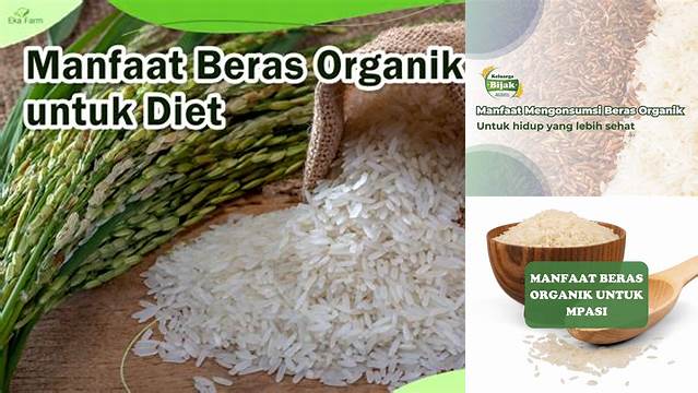 Temukan 7 Manfaat Beras Organik yang Jarang Diketahui