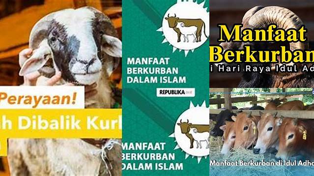 Temukan Manfaat Kurban Idul Adha yang Jarang Diketahui