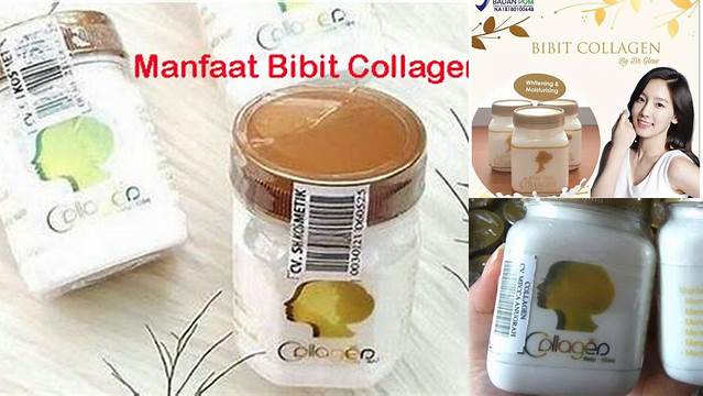 Temukan 10 Manfaat Bibit Collagen yang Jarang Diketahui