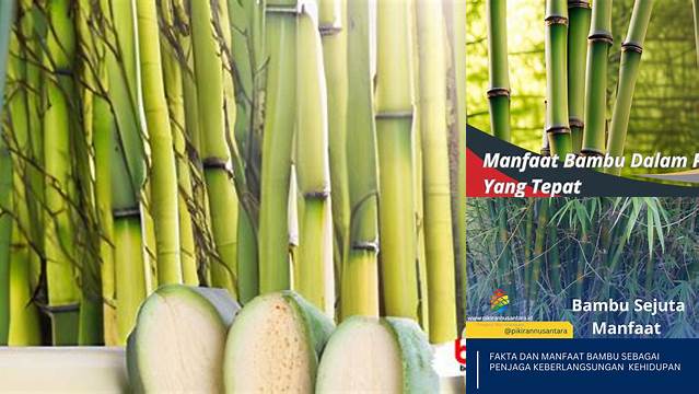 Temukan Manfaat Luar Biasa Bigar Bambu yang Jarang Diketahui