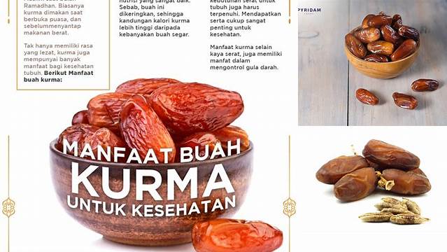 Temukan 8 Manfaat Biji Kurma yang Jarang Diketahui