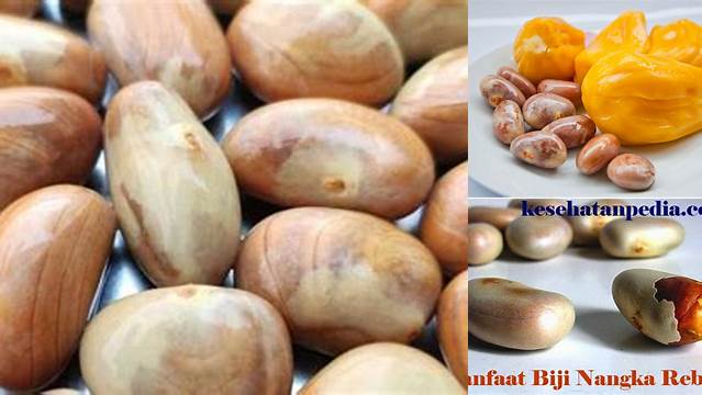 Temukan Manfaat Kesehatan Biji Nangka Rebus yang Belum Anda Ketahui