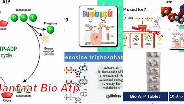 Manfaat Bio ATP yang Jarang Diketahui, Wajib Kamu Ketahui!