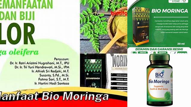 Manfaat Bio Moringa yang Menakjubkan! Temukan Rahasia Kesehatan yang Jarang Diketahui