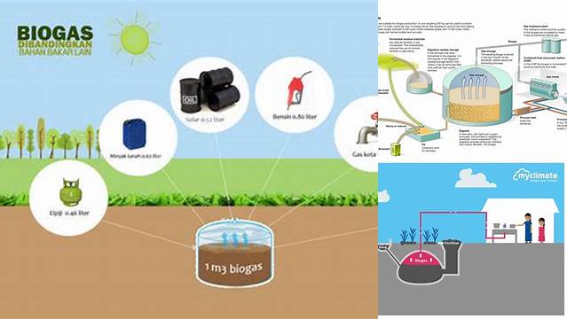 Temukan Manfaat Biogas dalam Kehidupan Sehari-hari yang Jarang Diketahui