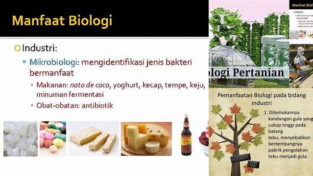 Terungkap Manfaat Biologi di Bidang Industri yang Akan Membuat Anda Terkesima