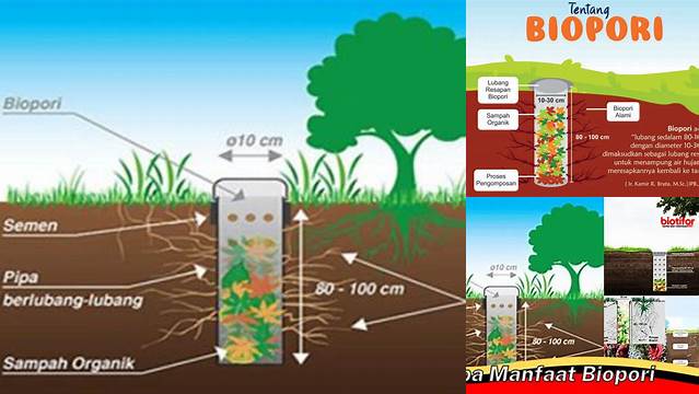 Temukan Manfaat Biopori yang Jarang Diketahui