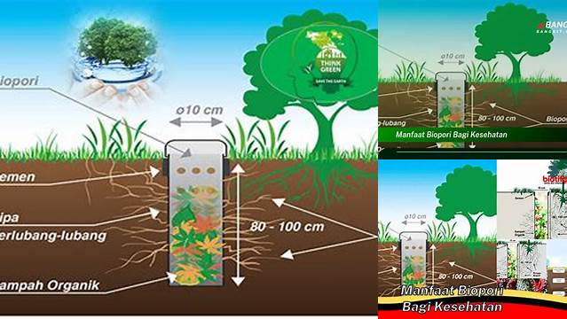 Temukan 7 Manfaat Biopori Bagi Kesehatan yang Jarang Diketahui