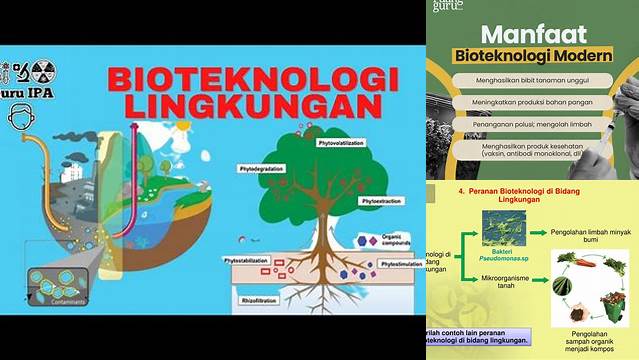 Manfaat Bioteknologi yang Jarang Diketahui untuk Lingkungan Anda