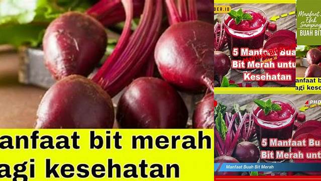 Temukan Manfaat Bit Merah yang Jarang Diketahui dan Penting untuk Anda Ketahui!