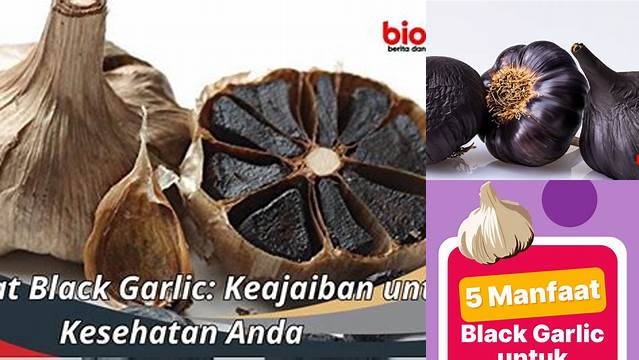 Ungkap Manfaat Ajaib Bawang Hitam untuk Kesehatan yang Jarang Diketahui