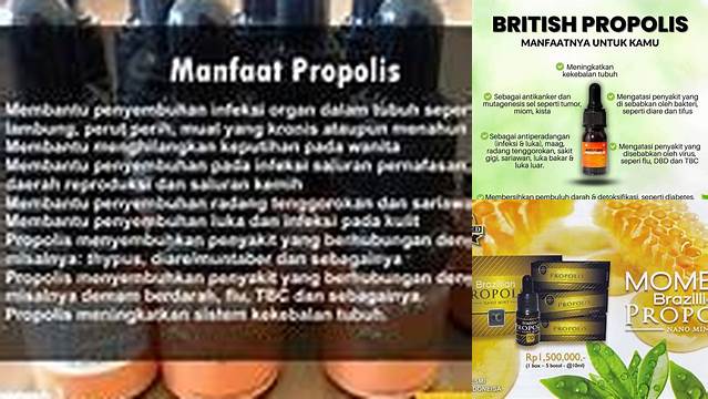 10 Manfaat BP Propolis yang Jarang Diketahui, Wajib Tahu!