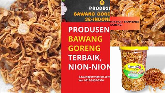 Temukan 5 Manfaat Bawang Goreng yang Jarang Diketahui