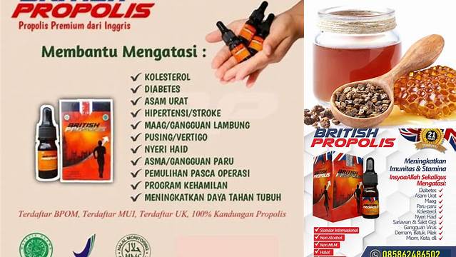 Ungkap Manfaat British Propolis yang Jarang Diketahui, Penting Anda Ketahui!