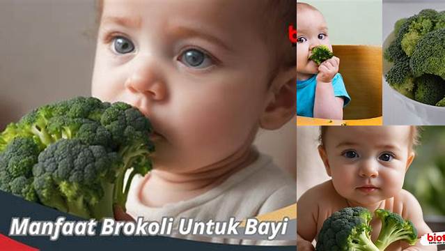 Ungkap Manfaat Brokoli untuk Bayi yang Jarang Diketahui