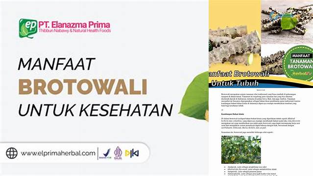 Temukan Manfaat Brotowali untuk Gatal yang Jarang Diketahui