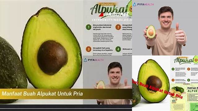10 Manfaat manfaat buah alpukat untuk pria vitalitas dan kesuburan optimal
