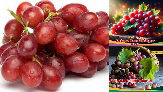 Temukan Manfaat Buah Anggur Merah yang Jarang Diketahui
