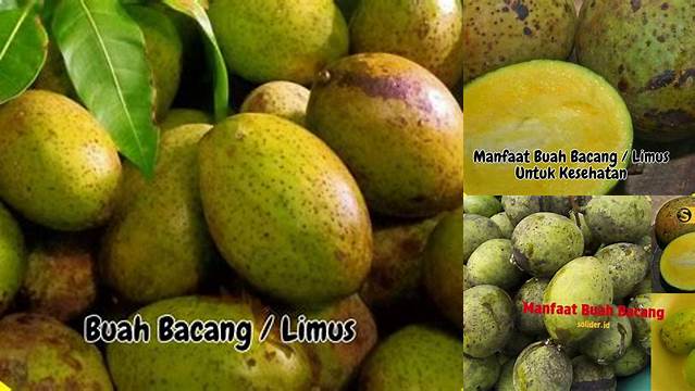 Temukan Manfaat Dahsyat Buah Bacang yang Jarang Diketahui