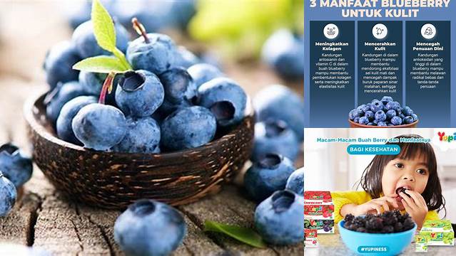 Temukan 10 Manfaat Buah Berry yang Jarang Diketahui