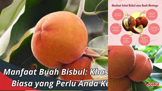 Temukan Manfaat Buah Bisbul yang Jarang Diketahui