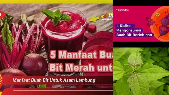 Manfaat Buah Bit untuk Asam Lambung yang Jarang Diketahui