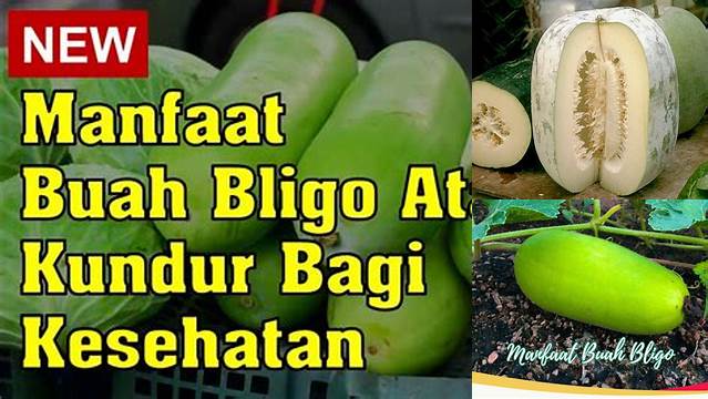 Temukan Beragam Manfaat Buah Bligo yang Jarang Diketahui