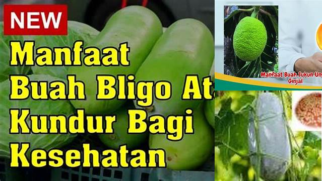 Temukan Manfaat Buah Bligo untuk Ginjal yang Jarang Anda Ketahui