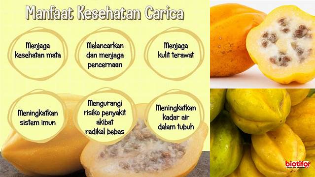 Manfaat Buah Carica yang Jarang Diketahui, Wajib Dicoba!