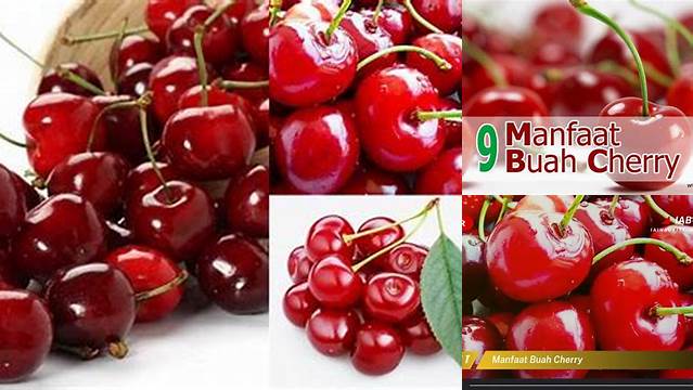 Temukan 7 Manfaat Buah Cherry yang Jarang Diketahui