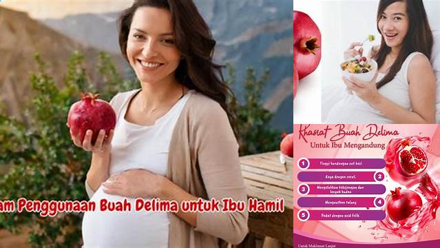 10 Manfaat Buah Delima untuk Ibu Hamil, Kesehatan, Nutrisi & Pertumbuhan Janin