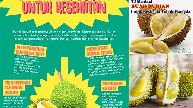 Temukan 5 Manfaat Buah Durian yang Jarang Diketahui