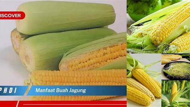 9 Manfaat Buah Jagung untuk Kesehatan Optimal