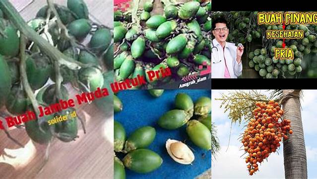 Manfaat Buah Jambu Muda untuk Pria yang Jarang Diketahui!